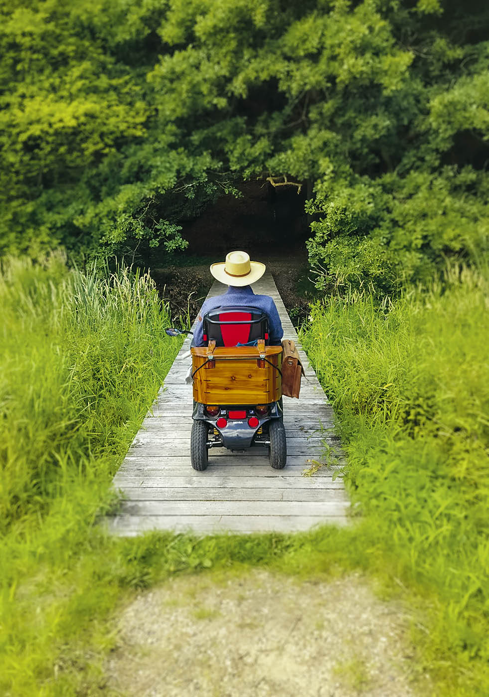 Handiscootere p tur i naturen ind i skoven