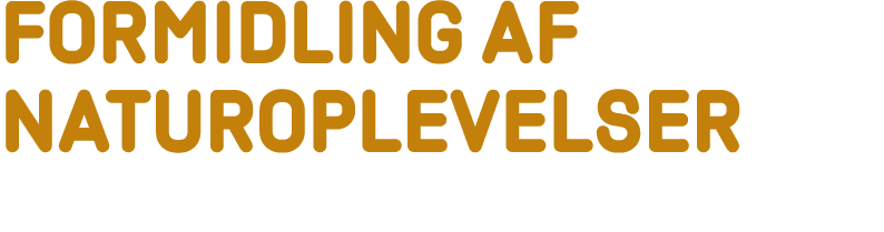Formidling af naturoplevelser 